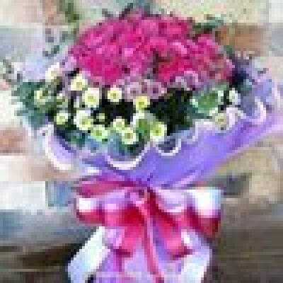 Neda is looking for an Apartment / HouseBoat in Utrecht