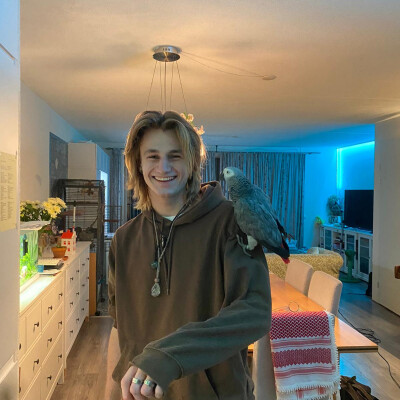 Willem Peter zoekt een Kamer in Utrecht