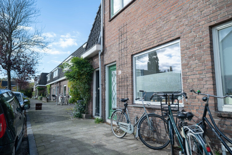 De Bloesemstraat - groen is het huis